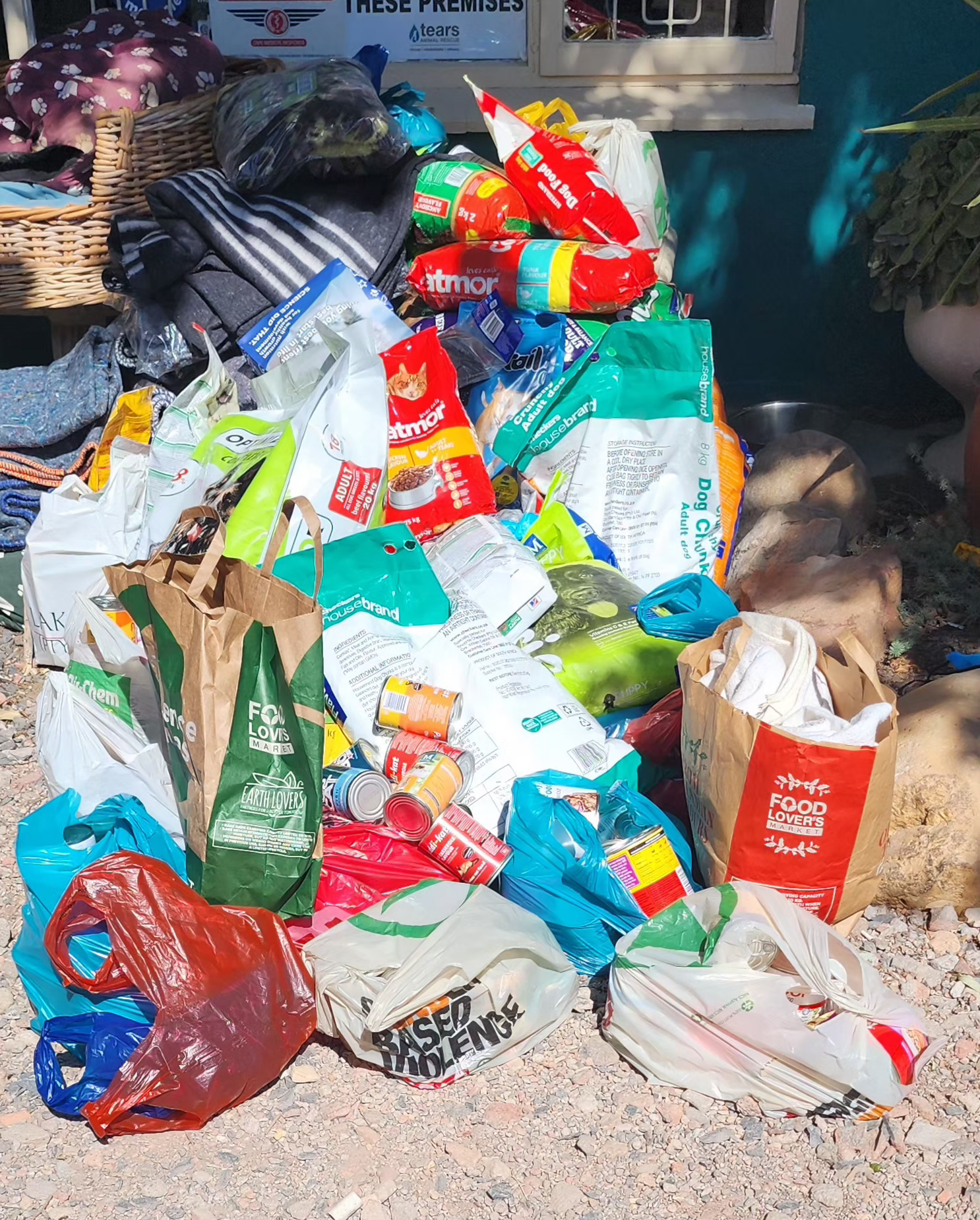 Tears Charity, Colecting for food for the animals